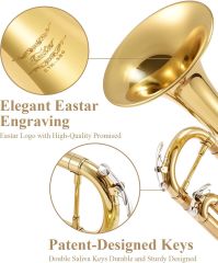 Donner Eastar ETR-380 Standard Si Bemol Trompet (Golden)