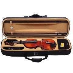 Carlovy VLA4 - 4/4 Keman