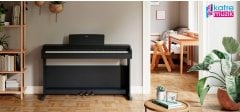 Yamaha YDP145B Dijital Piyano (Siyah)